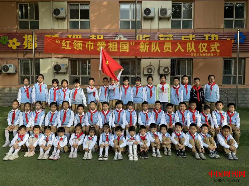 图片13.png