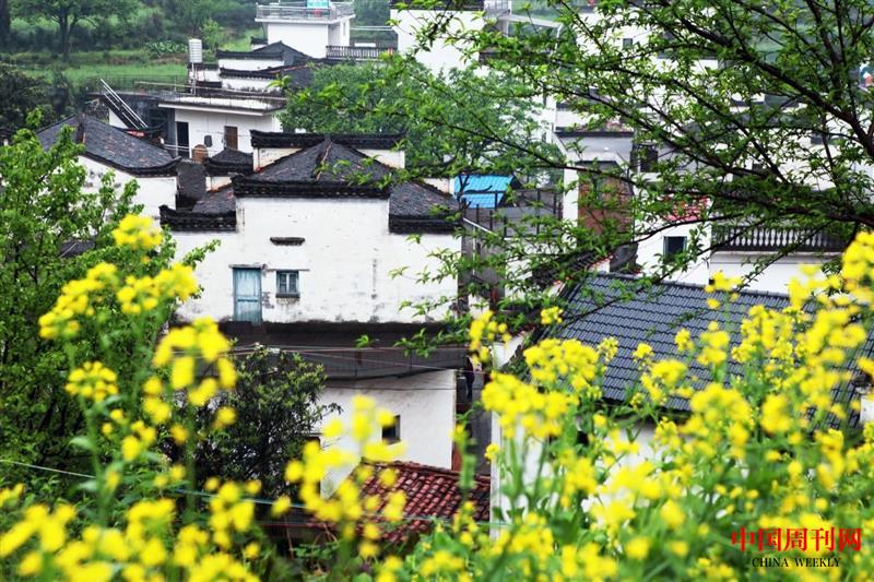 微信图片_20250514141305.jpg